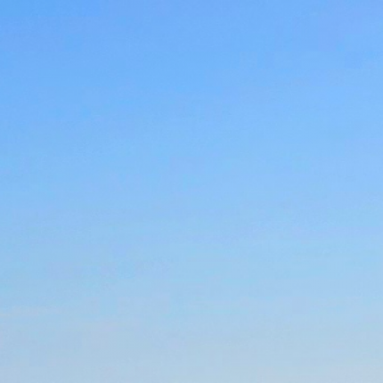 Charlotte Wilson Events Professional